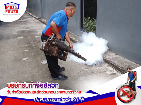 หาบริษัทรับกำจัดแมลงด่วน